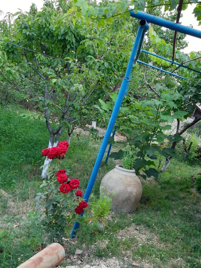 Ararat B&B Chʼiva Esterno foto