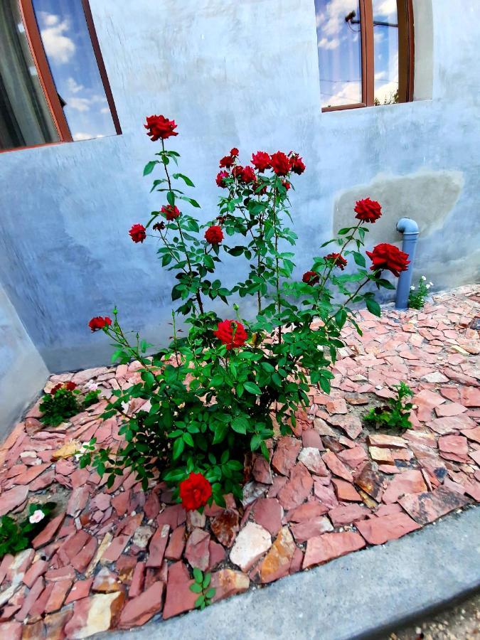Ararat B&B Chʼiva Esterno foto